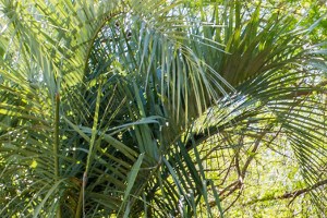 Photos And Video Of Hawthorne Westside Apartments In