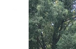 Apartments In New Braunfels Tx Near Ih 35 Hawthorne Riverside