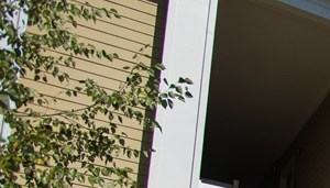 apartments in charlotte nc hawthorne at the greene