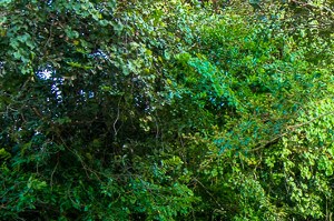 Hawthorne Lofts South Apartments in Wilmington NC Hawthorne Lofts South Apartments in Wilmington NC