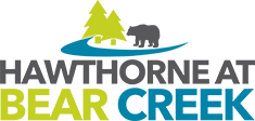 Asheville Property Logo 0
