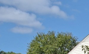 Colony Village Apartments Apartments In New Bern Nc