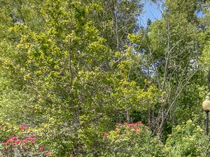 Photos And Video Of The Kensley In Jacksonville Fl