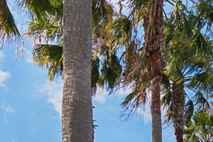 Photos And Video Of Enders Place At Baldwin Park In