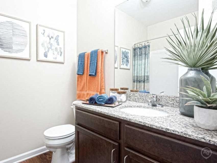 Photos and Video of Stallings Mill Apartments in Clayton, NC