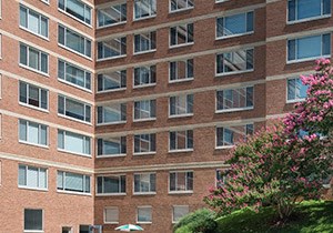 Dominion Plaza Dominion Plaza Community Thumbnail 1