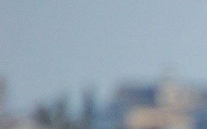 The Alexander At Countryside Apartments Clearwater Fl