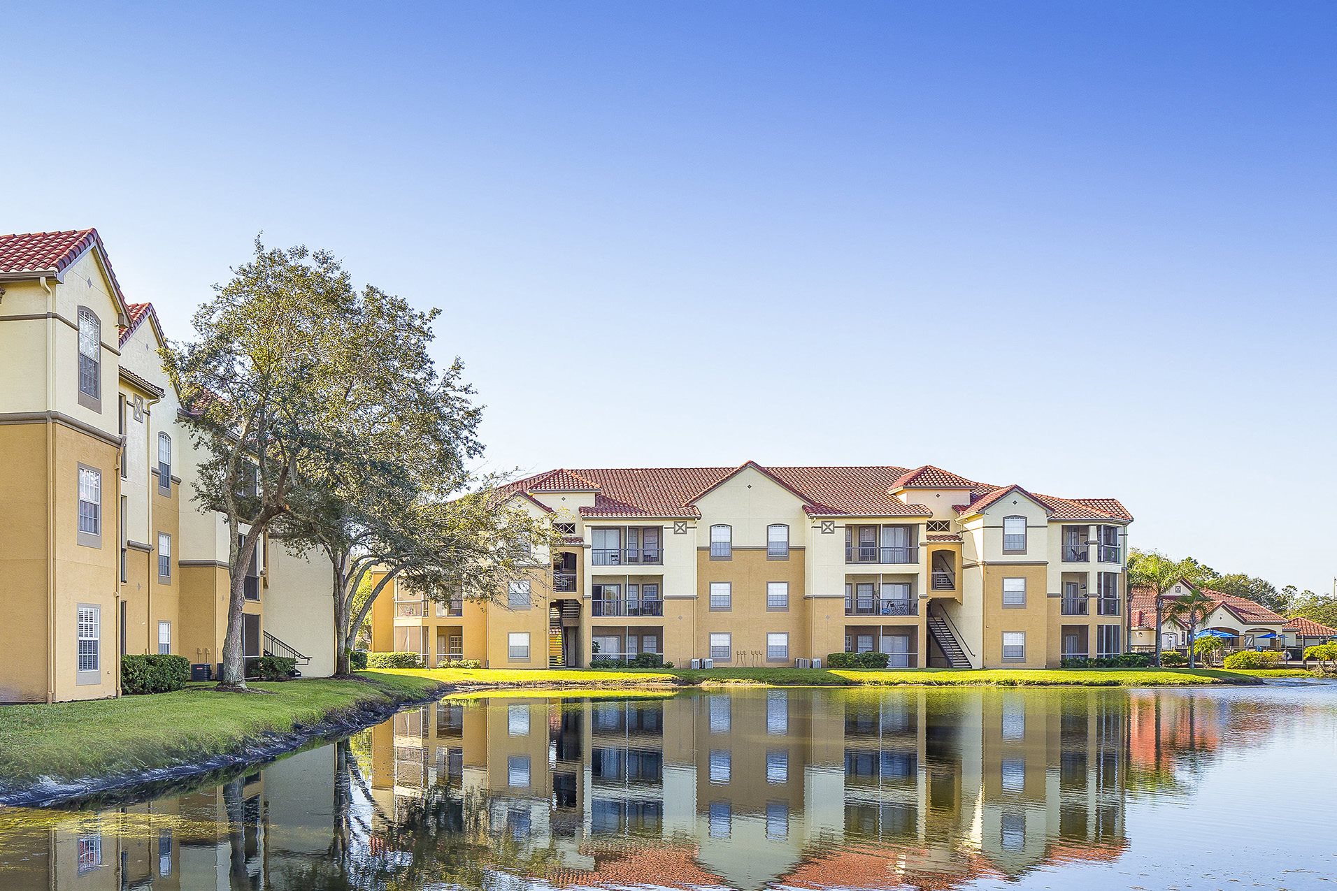 Andover Place Apartments Tampa Fl Andover Place Apartments Tampa Fl